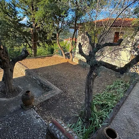 Trypinest Apartmán *