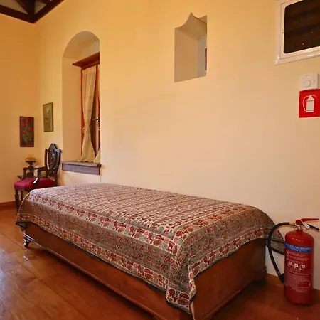Apartment Trypinest