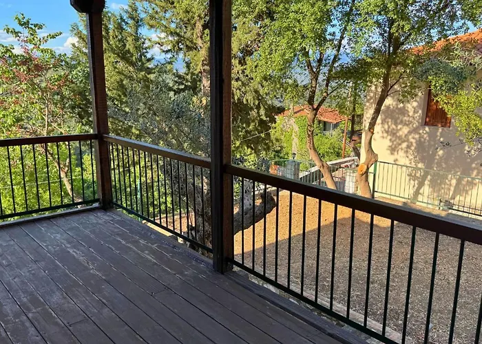 Trypinest Lejlighed Sparta